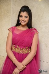 Anchor Syamala at Speedunnodu Movie Platinum Disc Function